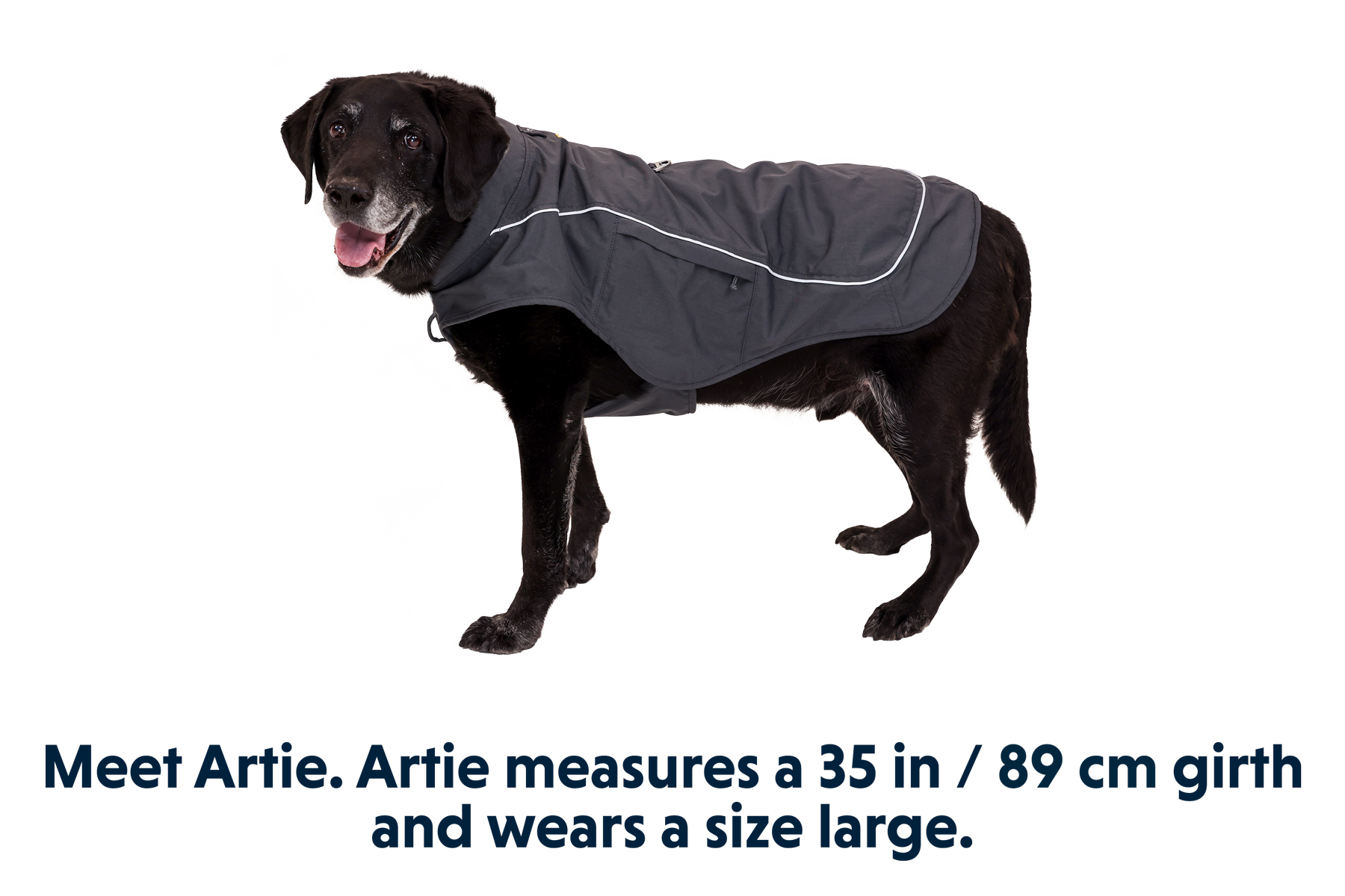 05151_Overcoat-Fuse_Basalt-Gray_ARTIE_LXL.png
