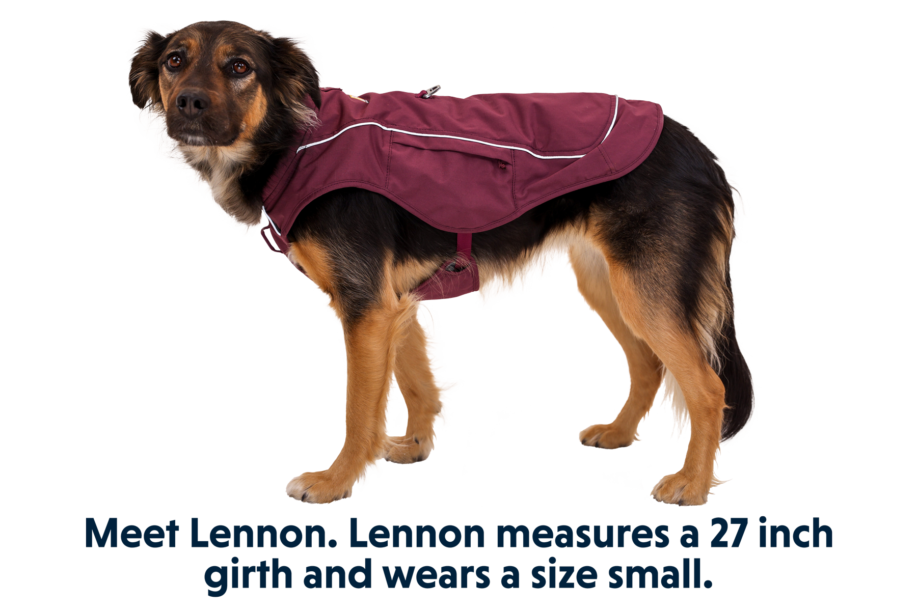 05151_Overcoat-Fuse_Purple-Rain_LENNON_Small_fd43d156-8cd2-44b6-9d6c-f2f0e0c95682.png