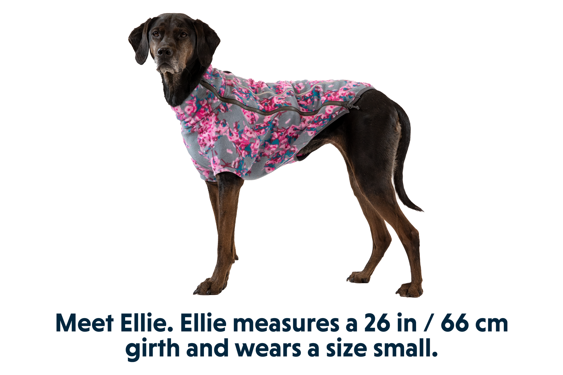 05503_Climate-Changer_Blossom_ELLIE_Small_a9b3c872-c2ac-4158-bad4-02409f00a63b.png