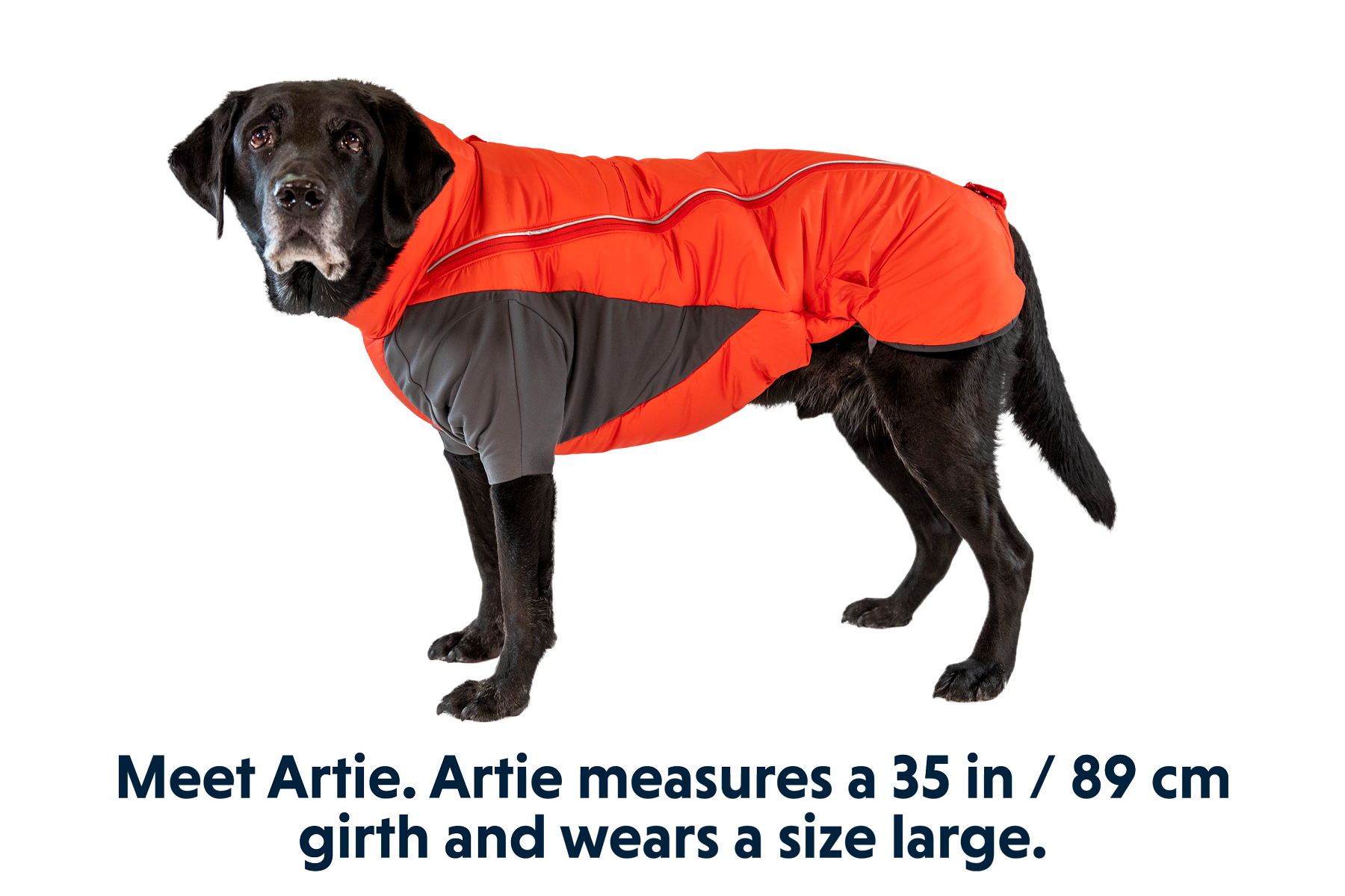 0565_Furness-Jacket_Red-Sumac_ARTIE_Large_d9db82f2-6c5c-4f46-8bbb-fa7f7fa39bcd.png