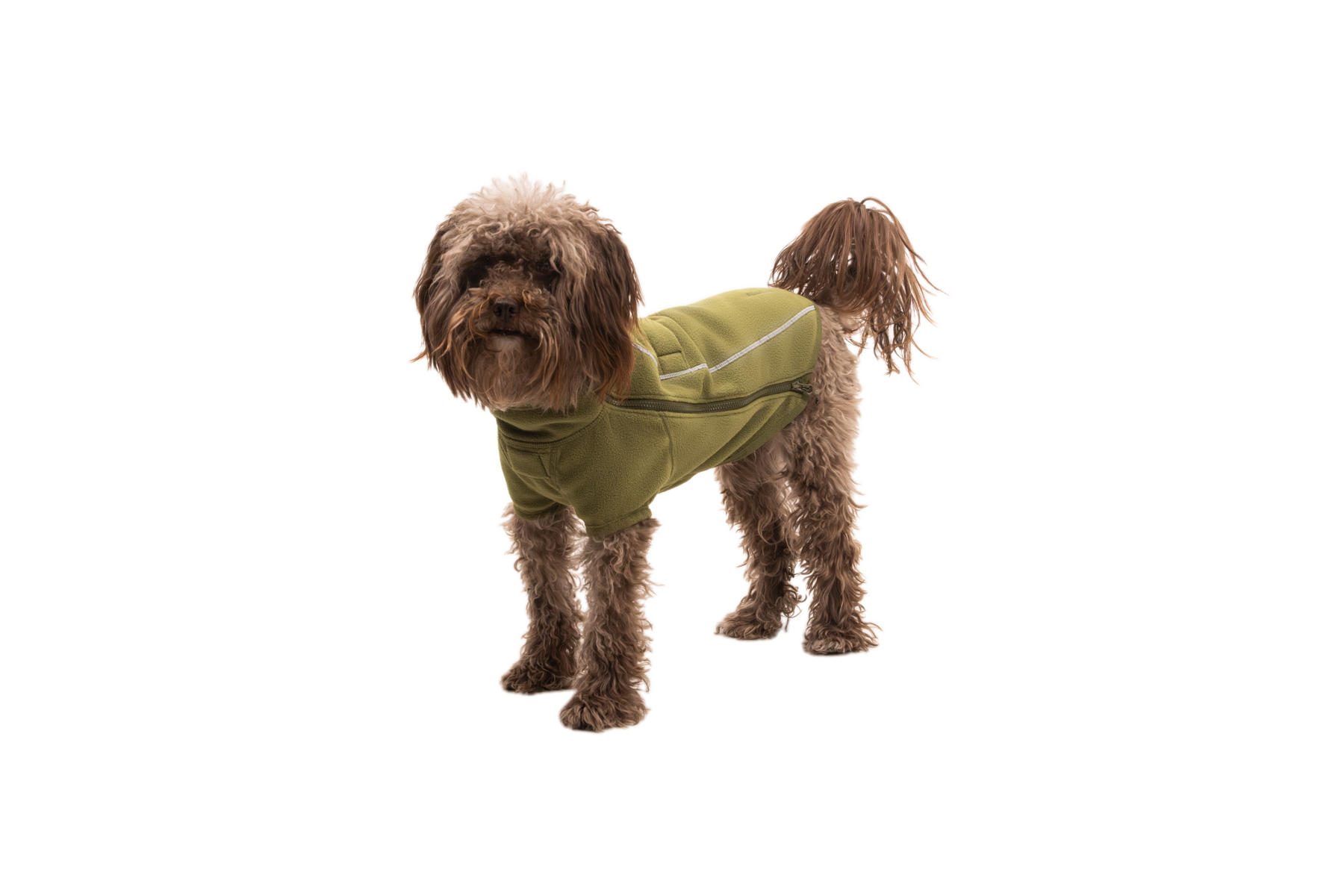 Compressed_PNG-05504_Climate-Changer-Jacket_Cedar-Green_On-Dog_STUDIO.png